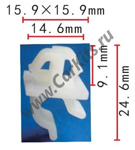 Изображение C50